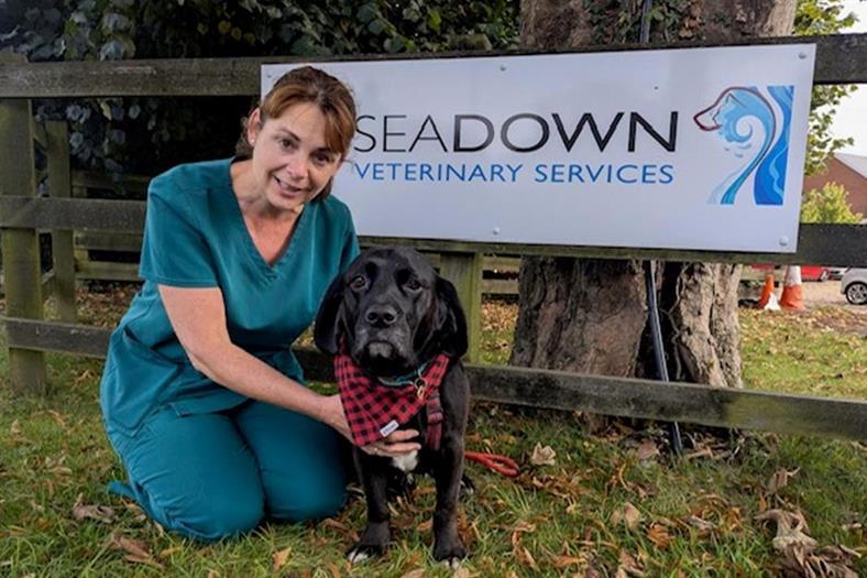 Dog hit by SUV on A326 Hythe Bypass saved by Seadown vets