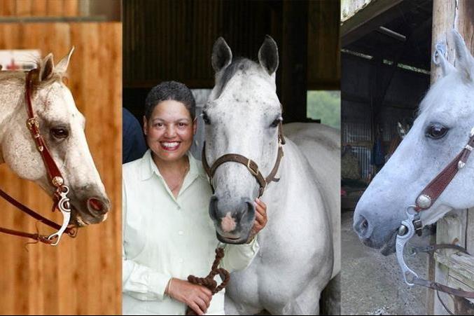 Let your horse talk to you: top teamwork gives 28-year-old horse second chance of an active life