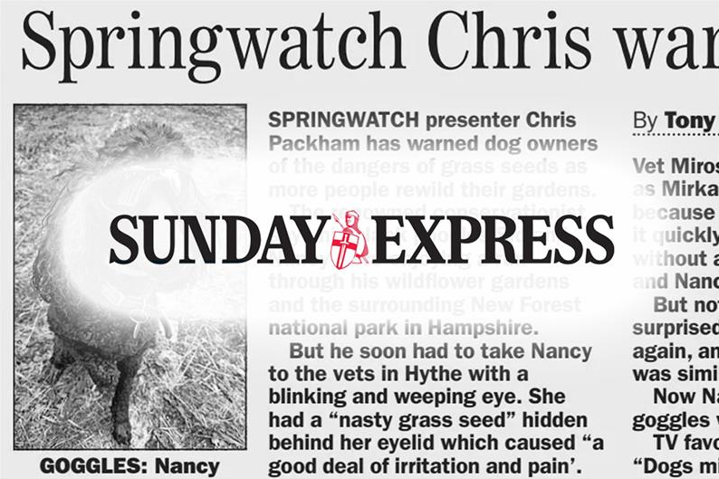 Sunday Express: Springwatch Chris warns dog owners about seed hazard